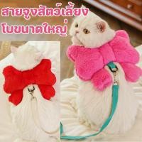ราคา สายจูงสัตว์เลี้ยง เชือกจูงแมว เสื้อรัดอกแมว สายจูงสุนัข สายจูงหมา โบว์ผีเสื้อใหญ่ดูน่ารักมาก (57002687539)