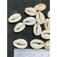 ราคา ลูกปัดหอยเบี้ย งานเกรดเอ ทรงตัดหลัง งานสวย สีขาว ขนาด20มิล เนื้อดี สีสวยเงา งานละเอียด ส่งไว ลายสวย ถุงใหญ่ ห่อ250กรัม (27268040767)