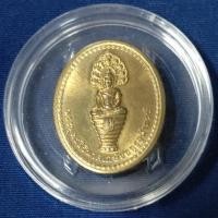 ราคา เหรียญพระพุทธโอสถ (ที่ระลึกพระพุทธสิรินาคเภษัชยคุรุจุฬาภรณ์) ปี พ.ศ.2558 เนื้อโลหะสีเหลือง(Brass) พร้อมตลับใส (24768534972)
