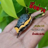 ราคา เหยื่อปลอม อึ่งยาง กบยาง (10397209511)