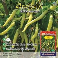ราคา เมล็ดพริกสร้อยไก่ เอ็มทีวัน Hotpeppet เมล็ดพริกสร้อยไก่ เมล็ดพันธุ์พริกสร้อยไก่ เมล็ดพริก พริกสร้อยไก่ เมล็ดพันธุ์ผัก ต (13512140889)