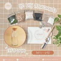 ราคา ชุดจัดสวนขวดแก้ว ไซส์ S - ฝาไม้(6*16.5) (9528000)