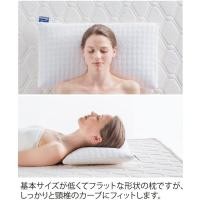 ราคา หมอนหนุน Maniflex FLAT PICCOLO High Repulsion Pillow (4777313295)