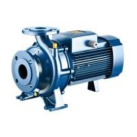 ราคา PEDROLLO รุ่น F40/160A (25411872340)