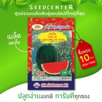 ราคา เมล็ดแตงโมโนรี ขนาด 5 กรัม ภูเขาทอง (3717700022)