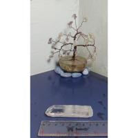 ราคา Natural Pointer Lemurian Seed Quartz Brazil 38 กรัม (34) (29041713948)