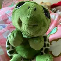 ราคา [อ่านก่อนสั่ง] ตุ๊กตาเต่าน้อยแซมมี่ 10” (5518038046)