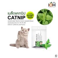 ราคา IOH Catnip Seeds (Nepeta Cataria) from USA เมล็ดแคทนิปของแท้ สมุนไพรสำหรับแมว (พร้อมส่ง) (132465832)