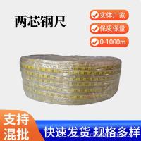 ราคา มาตรวัดระดับน้ําไม้บรรทัดเหล็กไม้บรรทัดเทปเหล็กไม้บรรทัดไม้บรรทัดไม้บรรทัดไม้บรรทัดอุณหภูมิสูงไม้บรรทัดเหล็กสี่แกนความยาว 0-1000ม (49951777506)