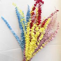 ราคา ช่อกระถางดอกไม้แห้ง ใบยูคาลิปตัส และใบเหรียญทองแดง (50550885011)