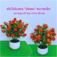 ราคา ต้นไม้มงคล ต้นส้ม, ต้นทับทิม #สำหรับประดับตกแต่ง #ต้นไม้ปลอม #ต้นไม้ประดิษฐ์ (28218533036)