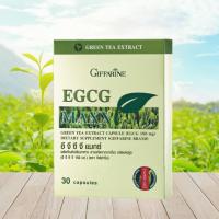 ราคา อี จี ซี จี แมกซ์ อีจีซีจีแมกซ์ EGCG Maxx GIFFARINE สารสกัดจากชาเขียว (25767722449)