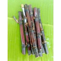 ราคา อ้อยดำ หรือ อ้อยแดง อ้อยสมุนไพร อ้อยรักษาโรค ปลูกตามธรรมชาติไม่ใส่ปุ๋ยและสารเคมี (24294094913)