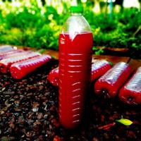 ราคา จุลินทรีย์สังเคราะห์แสง 1.5 ลิตร (7962734060)