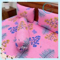 ราคา - ผ้าปูที่นอนยางยืดเย็นเกาหลีขนาด (52601840347)