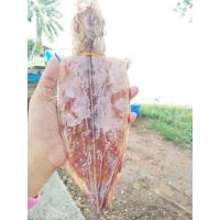 ราคา ปลาหมึกเเห้งผ่าหนัง 7นิ้ว ผ่าหลัง เเกะตา พร้อมหนวด อาหารทะเลแปรรูป (26462668357)