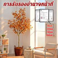 ราคา ยูคาลิปตัสสีเหลือง1:1ฟื้นฟูความจำลอง 99% ต้นไม้ปลอมใหญ่ ต้นไม้ปลอม ต้นไม้มงคลปลอม0.9/1.2/1.4/1.6m (49301559822)