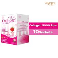ราคา Amsel Collagen 5000 plus (10 Sac) แอมเซล คอลลาเจน 5,000 พลัส (10 ซอง) (12007364535)