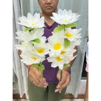 ราคา ดอกบัวสีขาว ช่อดอกบัว สีขาว1ช่อ 10 ดอก ได้ 2 ช่อจากราคา49ลด 39บาท เท่านั้น ได้2ช่อได้เลย คุ้มมากๆๆ (40920337716)