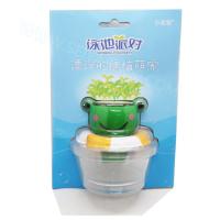 ราคา MN045 MINI GARDEN ชุดของขวัญ กบน้อย ใส่ห่วงยาง ปลูกต้นไม้ (675507713)