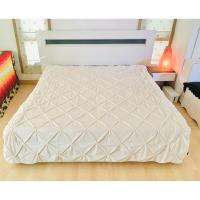 ราคา ผ้านวมกำมะหยี่ (ผืนใหญ่) (ใช้ปูรองนอนได้) ขนาด 6-6.5ฟุต สีขาวครีมกำมะหยี่ลายวินเทจ ยี่ห้อ Kosney (สภาพใหม่) เกาหลีแท้ (25943394517)