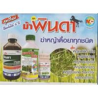 ราคา ชุดม้าพินดา (ฆ่าหญ้าดื้อยาทุกชนิด) เก่งหญ้าปล้องหิน หญ้าพุ่มพวง (26314892235)