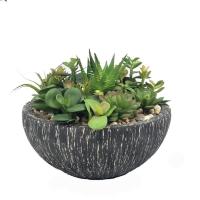 ราคา สวนกระบองเพชรปลอม ต้นไม้สวนถาด สวนแคคตัสปลอม (4340478838)