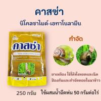 ราคา คาสซ่า 250 กรัม กำจัดหอยเชอรี่ หอยเจดีย์ ปลาไม่ตาย ฉีดในนา บ่อกุ้ง บ่อปลาได้ (25401159584)