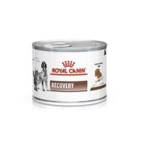 ราคา Royal Canin Recovery 195 g อาหารสำหรับสุนัขและแมว พักฟื้น 195 กรัม (940428590)
