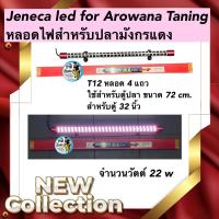 ราคา Jeneca led for Arowana Taning หลอดไฟสำหรับปลามังกรแดง T12 หลอด 4 แถว ใช้สำหรับตู้ปลา ขนาด 72 cm. สำหรับตู้ 32 นิ้ว (23620225087)
