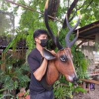 ราคา ไม้แขวนแกะสลักหัวกวาง 11 นิ้ว 13 นิ้ว และ15 นิ้ว #หัวกวางแขวนผนัง#ไม้แกะสลัก#handmade (3368587127)