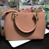 ราคา กระเป๋าLYN (589168664)