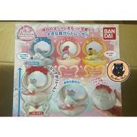 ราคา Gachapon Sanrio Characters Shell Dresser set (13335713059)