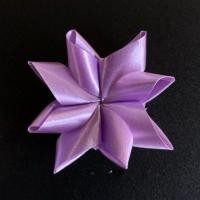 ราคา เหรียญโปรยทาน ดอกพิกุลแบบสำเร็จ (25952655397)