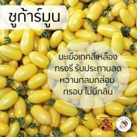 ราคา เมล็ดพันธุ์มะเขือเทศซูก้าร์มูน ตราพยัคฆ์ติดปีก 100 เมล็ด มะเขือเทศสีเหลือง หวาน เทพมงคลเมล็ดพันธุ์ (22448555748)