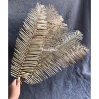 ราคา ใบปรง แห้ง ใช้ประดับตกแต่งห้องใบปรง ใบไม้แห้งสำหรับตกแต่งร้านค้าร้านคาเฟ่ พร๊อพถ่ายรูป ของแต่งบ้านP00005 (12973663561)