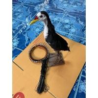 ราคา ครืน 31 หลัก + นกกวัก (29117095204)