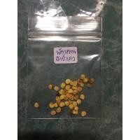 ราคา พริกหวานยักษ์ 30 เมล็ด (7516778189)