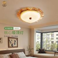 ราคา โคมไฟเพดาน Digea สไตล์โมเดิร์น มินิมอล สำหรับห้องนอน โฮมสเตย์ ปกป้องดวงตาแบบเต็มสเปกตรัม รูปทรงดอกไม้ ความรู้สึกหรูหรา ส (49602387860)