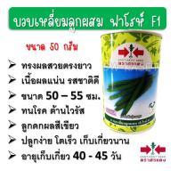 ราคา บวบเหลี่ยมศรแดง ฟาโรห์ 50 กรัม เมล็ดพันธุ์บวบเขียว ลูกดก ทนทาน ต้านไวรัส (20051259998)