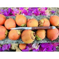 ราคา มีดคว้านขนาด 5.5 นิ้วรวมด้าม มีดคว้าน มีดแกะสลัก แกะสลักผลไม้ แกะสลักผัก (6387413409)