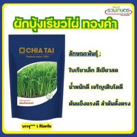 ราคา ผักบุ้งจีน เรียวไผ่ทองคำ เจียไต๋ 1 กิโลกรัม ผักบุ้งใบไผ่ ต้นอ่อนผักบุ้ง เมล็ดผักบุ้ง (43965044242)