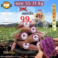 ราคา Oishi-Fresh มันหวานญี่ปุ่น ไซต์ Snackปลูกไทย เพอเพิ่ลสวีท แบบดิบเนื้อเหลืองนุ่ม หอมหวาน1 กก.จัดส่ง24ชม. (29769247180)