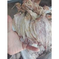 ราคา ปลาหมึกแห้งA6ขนาด500กรัม ปลาหมึกตากแห้ง ปลาหมึกผ่า ตัวสวย ปลาหมึกทะเล400กรัม ปลาหมึกทะเลแเนื้อหวานไม่เค็ม 250กรั (55601384142)