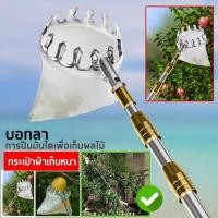 ราคา ตระกร้อสอยผลไม้(ผ้าสีขาว) ตระกร้อสอยผลไม้ ที่สอยผลไม้ ทีเก็บผลไม้ ตระกร้อ (28737753318)