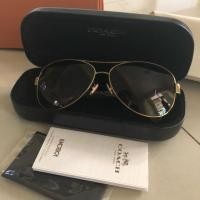 ราคา แว่นตากันแดด Coach แท้ (2643300162)