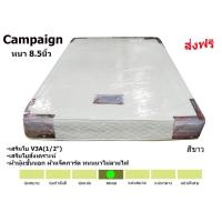 ราคา ✨สปริง✨ ที่นอนสปริง Campaign หนา8.5นิ้ว (ขนาด5,6ฟุต แถมหมอน 2 ใบ) (26180040341)