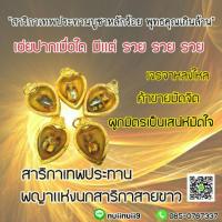 ราคา 1 แถม 1 สาริกาเทพประทาน (ด่วนจำนวนจำกัด) (1014407824)