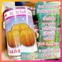 ราคา เมล็ดพันธุ์ แตงไทยกลม ตราตะวันต้นกล้า 80กรัม แตงไทยลูกกลม แตงไทยบัวแดง (28491310731)