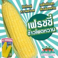 ราคา เมล็ดข้าวโพดหวาน เฟรชชี่ F1 ตราตะวันต้นกล้า เมล็ดข้าวโพด เมล็ดพันธุ์ข้าวโพด เมล็ดพันธุ์ข้าวโพดหวาน (41704523108)